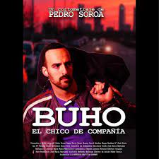 Cartel de la pelicula Búho, El Chico de Compañia