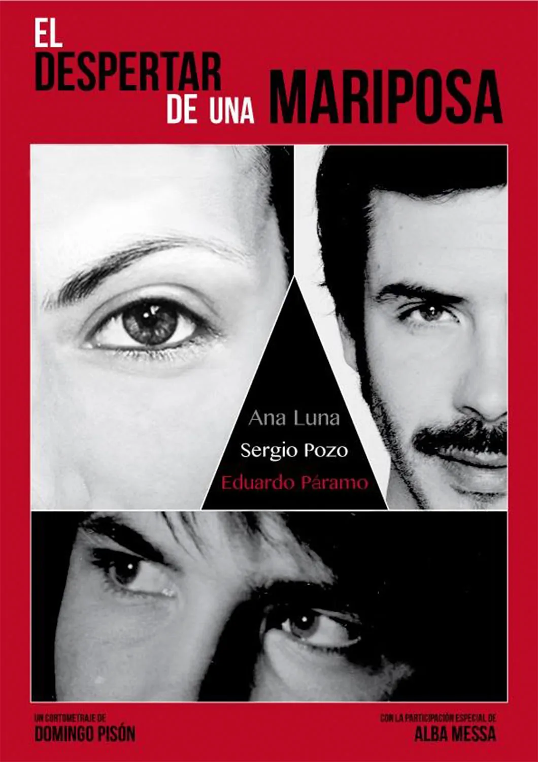 Cartel de la pelicula El despertar de una mariposa