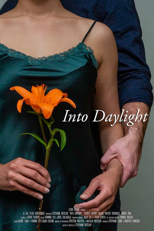 Cartel de la pelicula Into Daylight