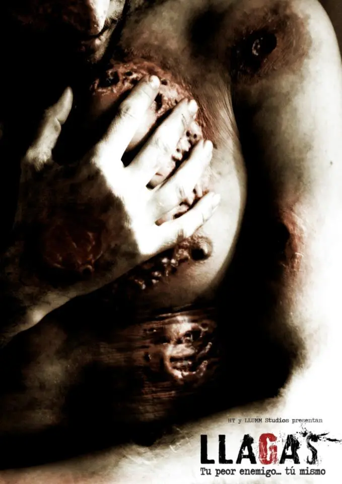 Cartel de la pelicula Llagas