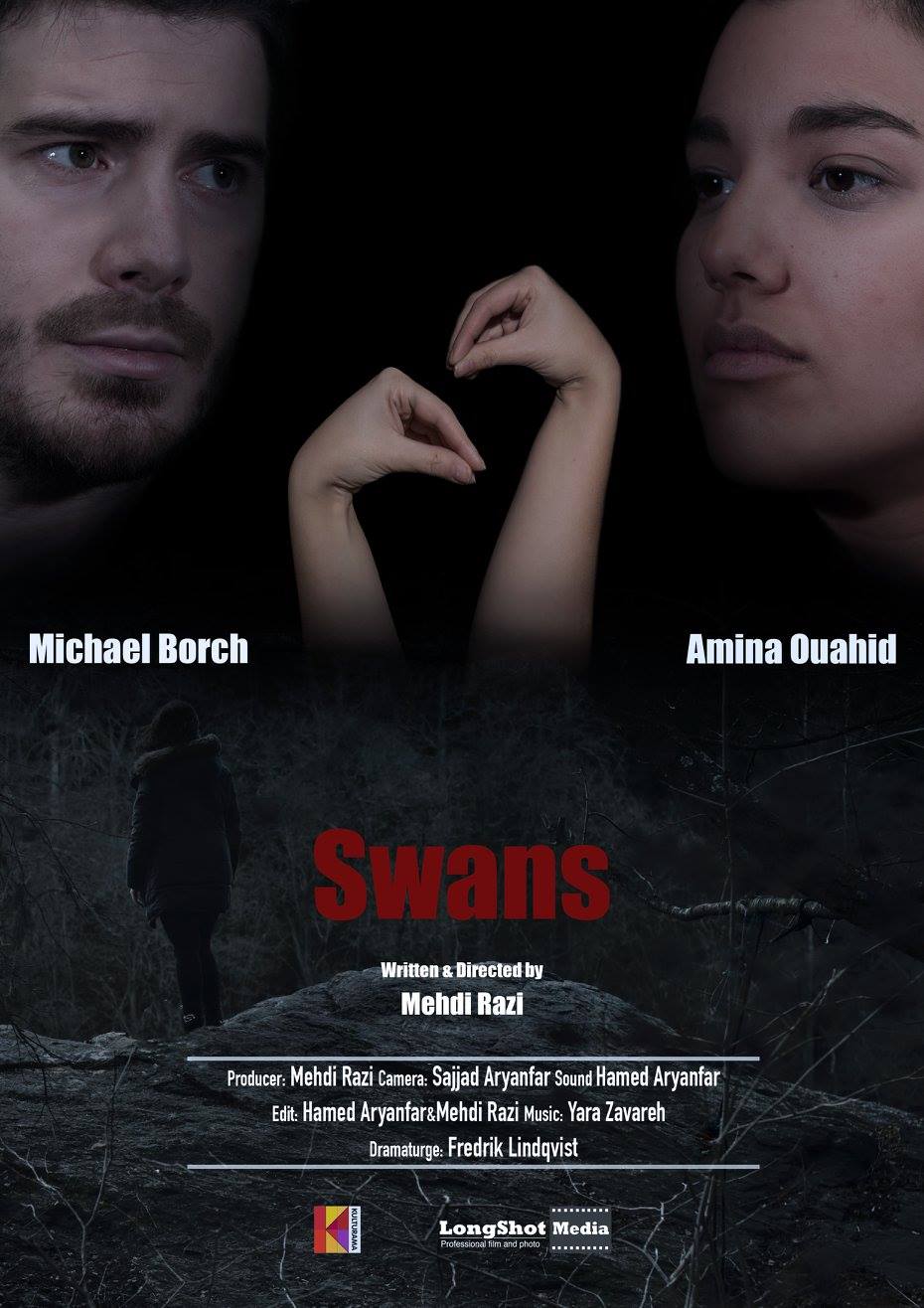 Cartel de la pelicula Swans