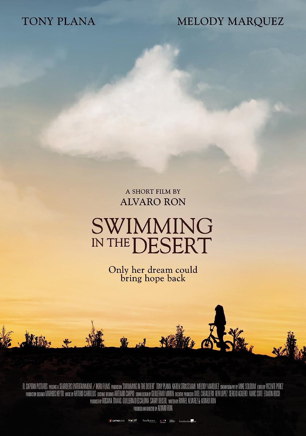 Cartel de la pelicula Swimming in the Desert