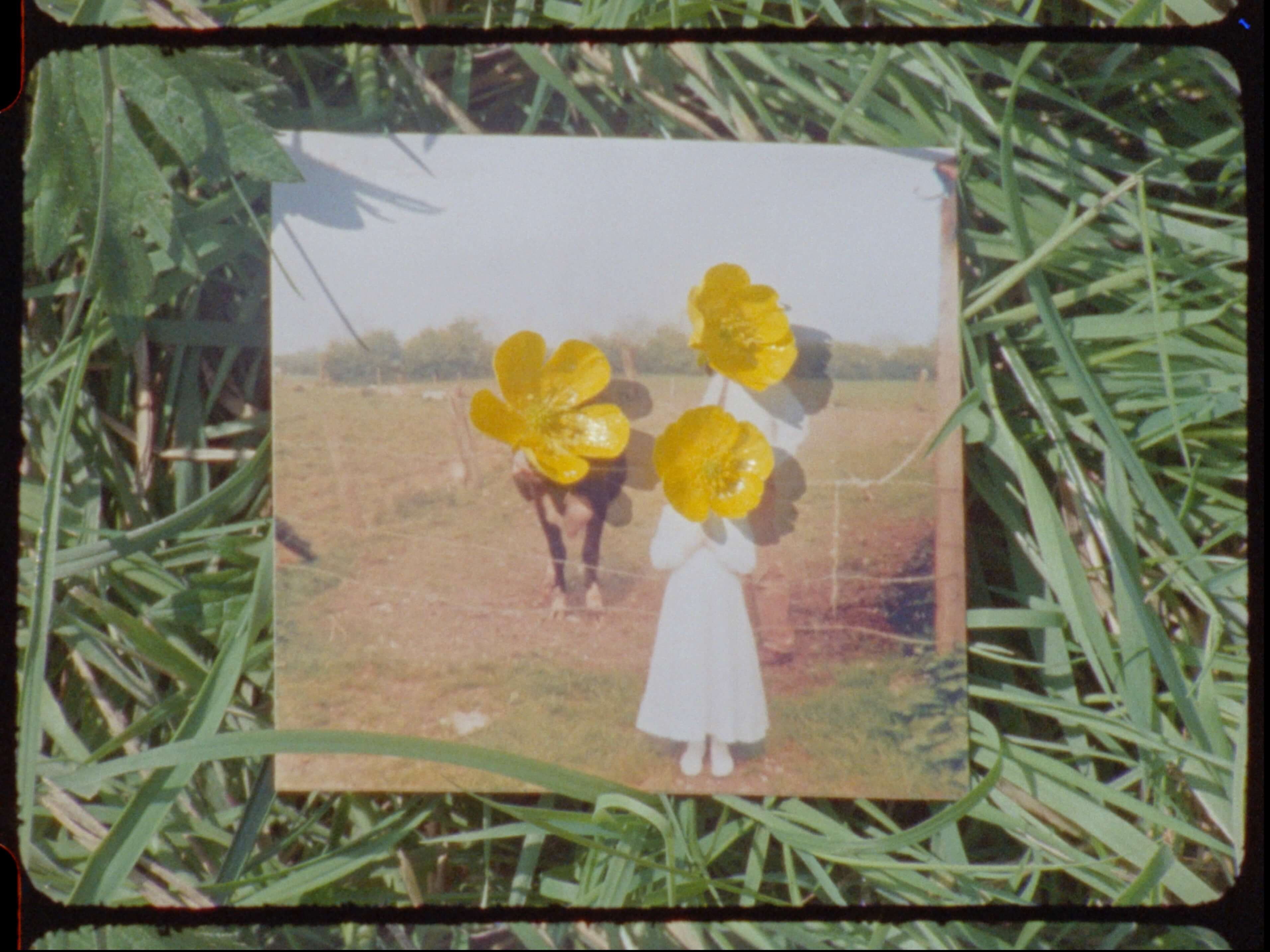 Cartel de la pelicula Buttercup