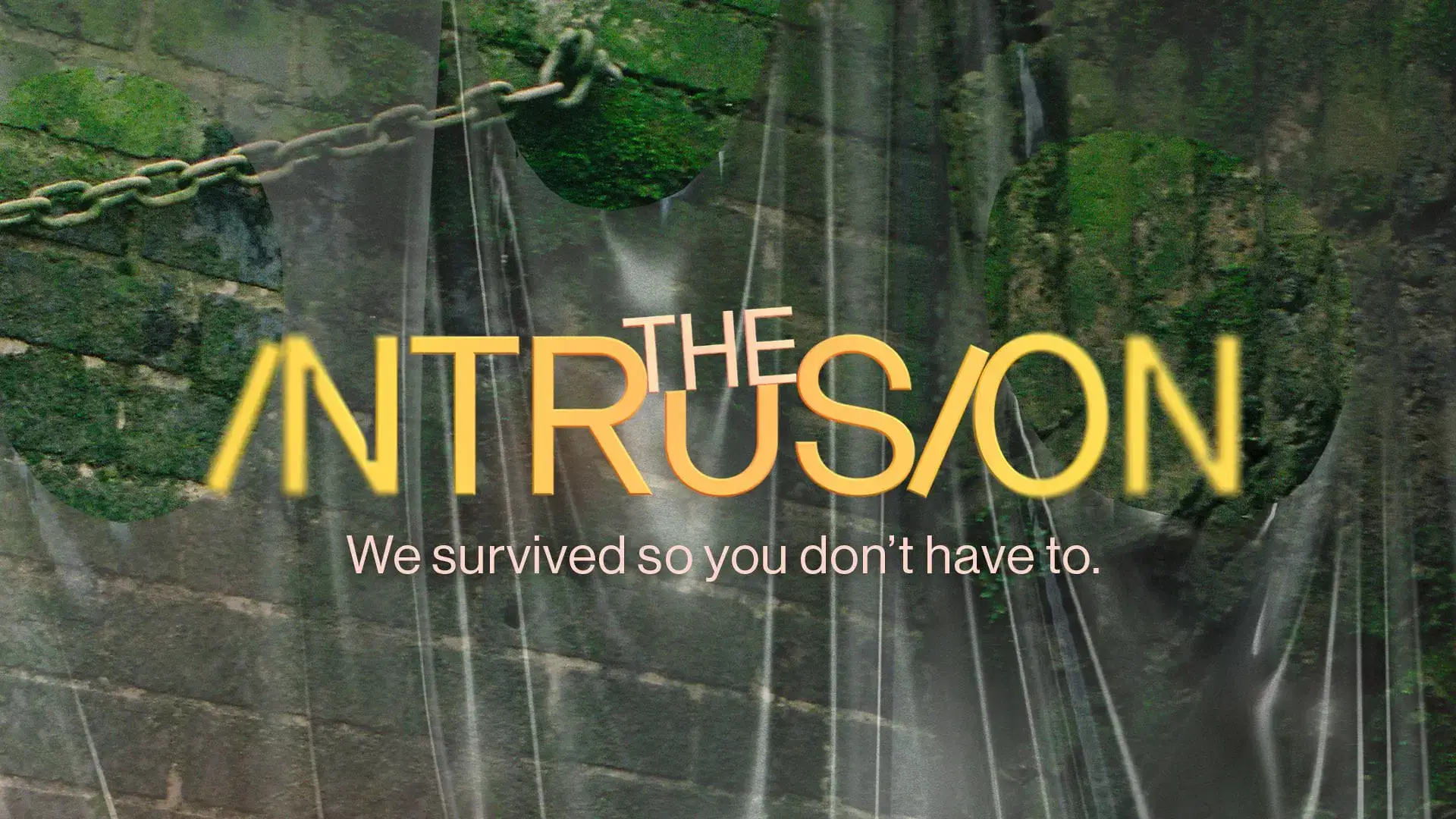 Cartel de la pelicula The Intrusion