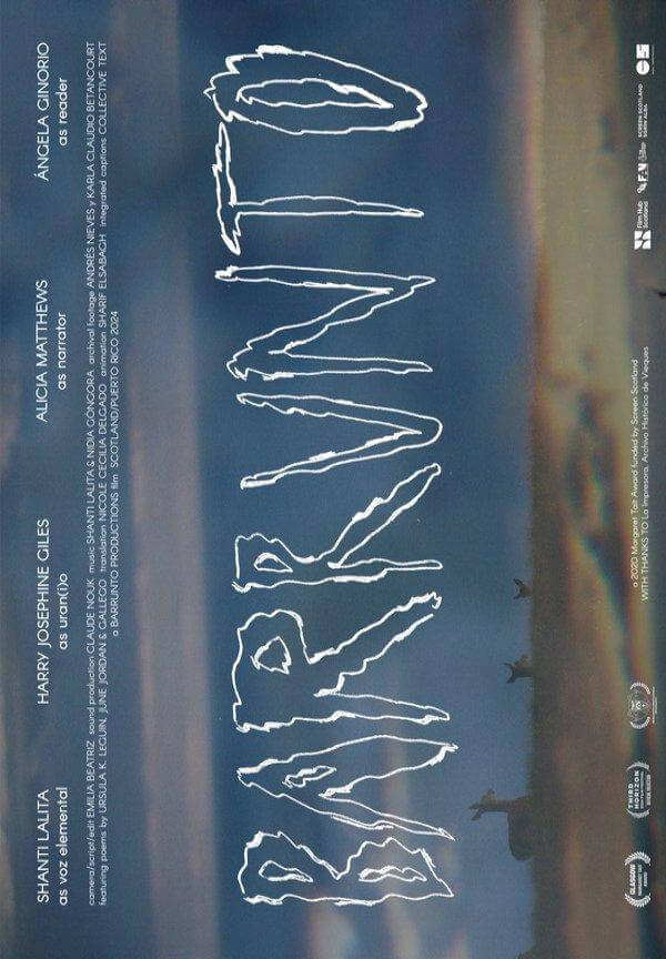 Cartel de la pelicula barrunto