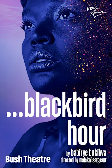 Cartel de la pelicula ...blackbird hour